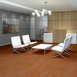 RHYTHM-54876-ARTICULATION-00600-room-image