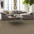 PRAISE-54882-SCHOLARLY-82705-room-image