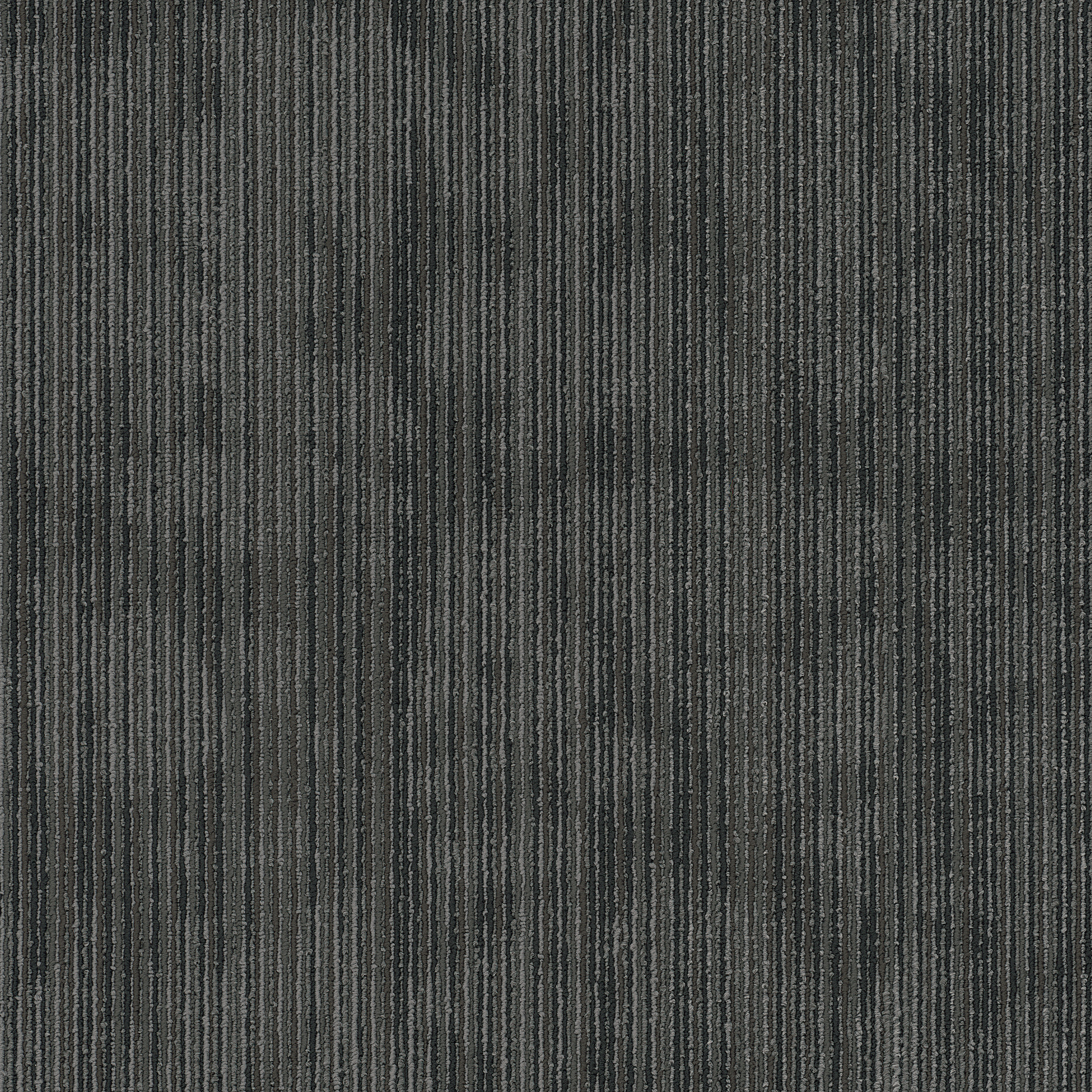 Hipster - Kobra - 54895_00504