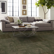 WILDSTYLE-54897-CODE-00300-room-image