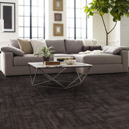 WILDSTYLE-54897-KOBRA-00504-room-image