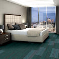 STELLAR-54902-MUSING-00300-room-image