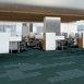 STELLAR-54902-MUSING-00300-room-image