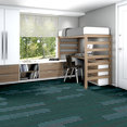 STELLAR-54902-MUSING-00300-room-image