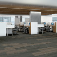 STELLAR-54902-MYTHICAL-00503-room-image