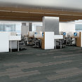 STELLAR-54902-WHIMSICAL-00504-room-image