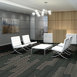 STELLAR-54902-SHADOWY-00505-room-image