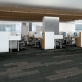 STELLAR-54902-SHADOWY-00505-room-image