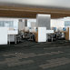 STELLAR-54902-SHADOWY-00505-room-image