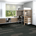 STELLAR-54902-SHADOWY-00505-room-image