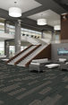 STELLAR-54902-SHADOWY-00505-room-image