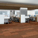 STELLAR-54902-VIVID-00600-room-image