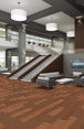 STELLAR-54902-VIVID-00600-room-image