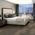 STELLAR-54902-FORMATIVE-00700-room-image