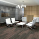 STELLAR-54902-CUTTING-EDGE-00705-room-image