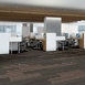 STELLAR-54902-CUTTING-EDGE-00705-room-image
