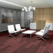 STELLAR-54902-QUIXOTIC-00800-room-image
