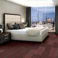 STELLAR-54902-QUIXOTIC-00800-room-image