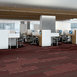 STELLAR-54902-QUIXOTIC-00800-room-image