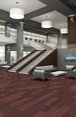 STELLAR-54902-QUIXOTIC-00800-room-image