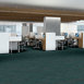 VISIONARY-54903-MUSING-00300-room-image