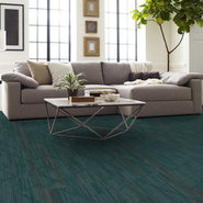 VISIONARY-54903-MUSING-00300-room-image
