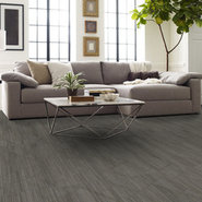 VISIONARY-54903-MYTHICAL-00503-room-image