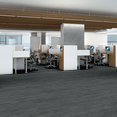 VISIONARY-54903-WHIMSICAL-00504-room-image