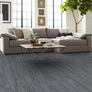 VISIONARY-54903-WHIMSICAL-00504-room-image