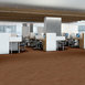 VISIONARY-54903-VIVID-00600-room-image