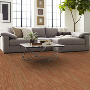 VISIONARY-54903-VIVID-00600-room-image