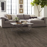 VISIONARY-54903-CUTTING-EDGE-00705-room-image