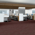 VISIONARY-54903-QUIXOTIC-00800-room-image