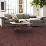 VISIONARY-54903-QUIXOTIC-00800-room-image