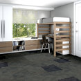DECLARE-54904-HARD-NEWS-00502-room-image