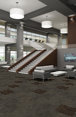 DECLARE-54904-COVERAGE-00710-room-image