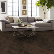 DECLARE-54904-COVERAGE-00710-room-image