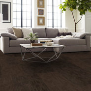 DISCLOSE-54905-COVERAGE-00710-room-image