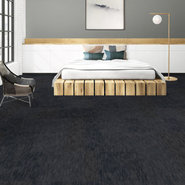 DOCUMENT-54906-HARD-NEWS-00502-room-image