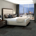 DOCUMENT-54906-HARD-NEWS-00502-room-image