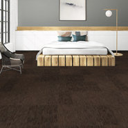 DOCUMENT-54906-COVERAGE-00710-room-image