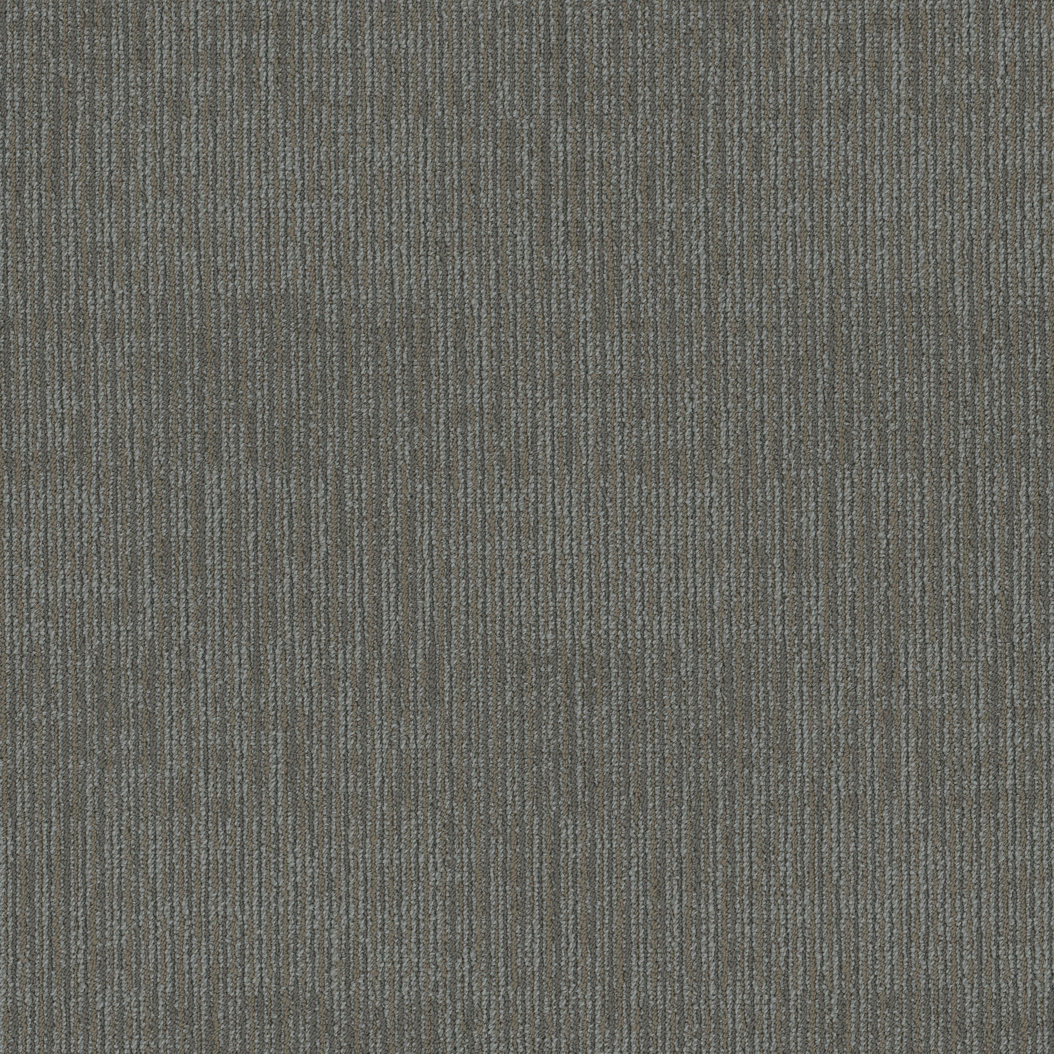 fact goodwill carpets 5490700505 Shaw Property Solutions