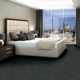 FACT-54907-MISSION-00515-room-image
