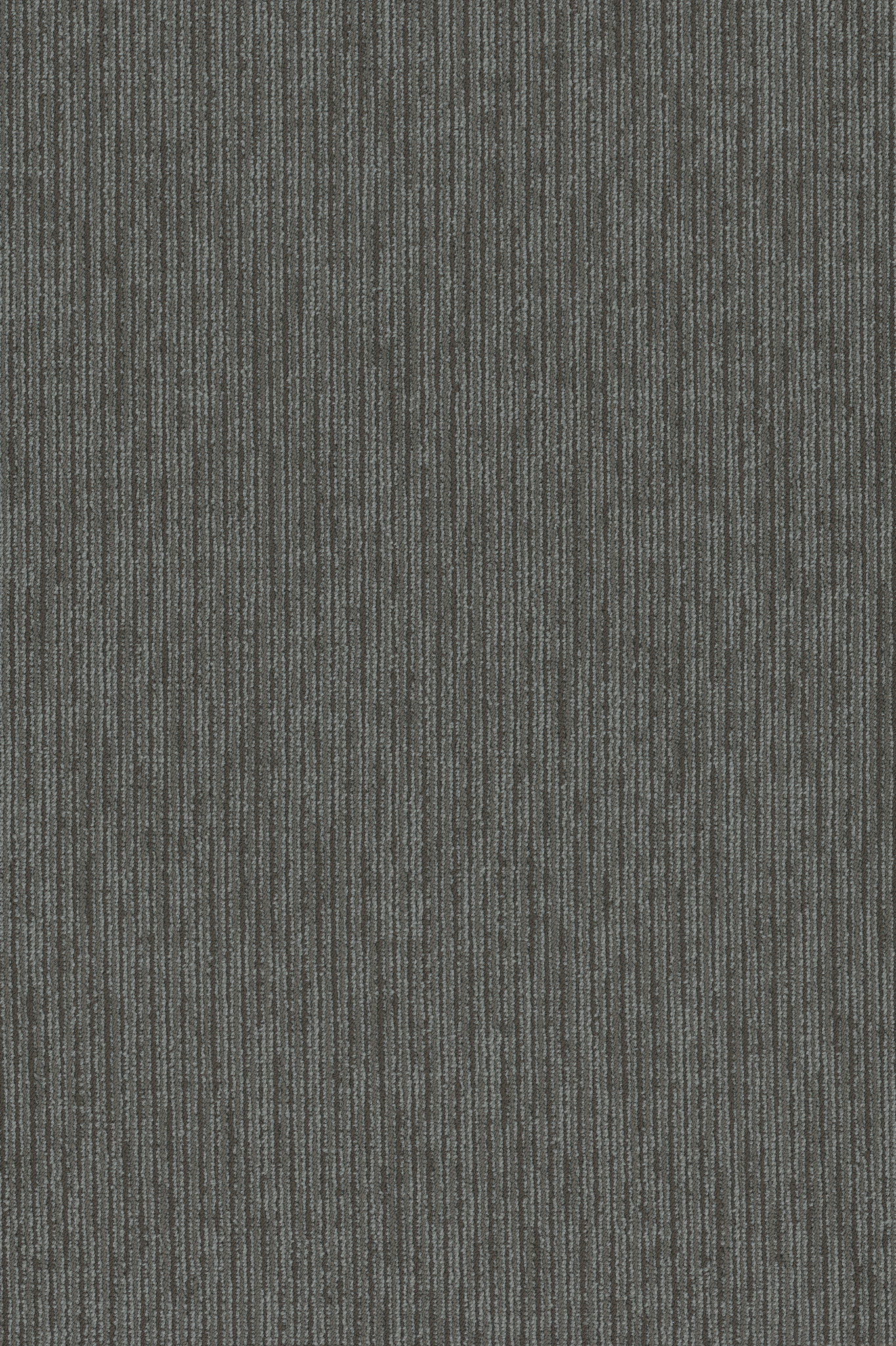 function liberal carpets 5490800510 Shaw Property Solutions