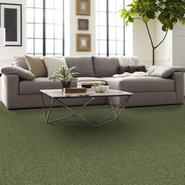 KNOT-IT-54913-HITCH-13401-room-image