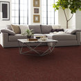 KNOT-IT-54913-LOOP-13716-room-image