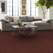 KNOT-IT-54913-LOOP-13716-room-image