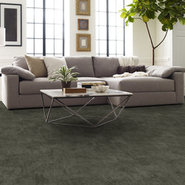 BIOTIC-54917-COMPOSITION-00505-room-image