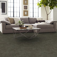 BIOTIC-54917-INHERENT-00515-room-image