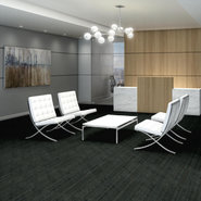SORT-54919-BUNCH-00400-room-image